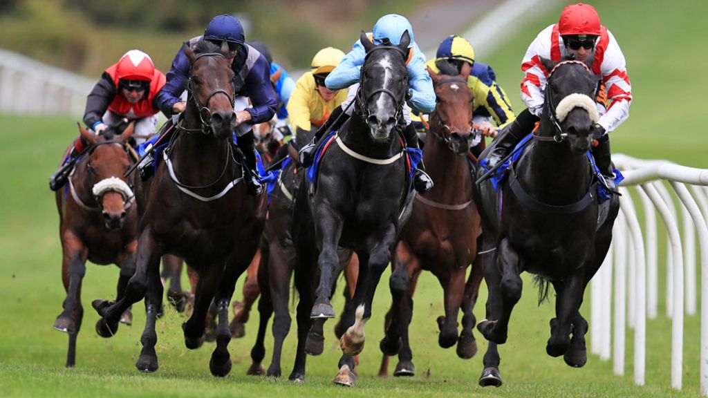Betting Strategy For Horse Racing